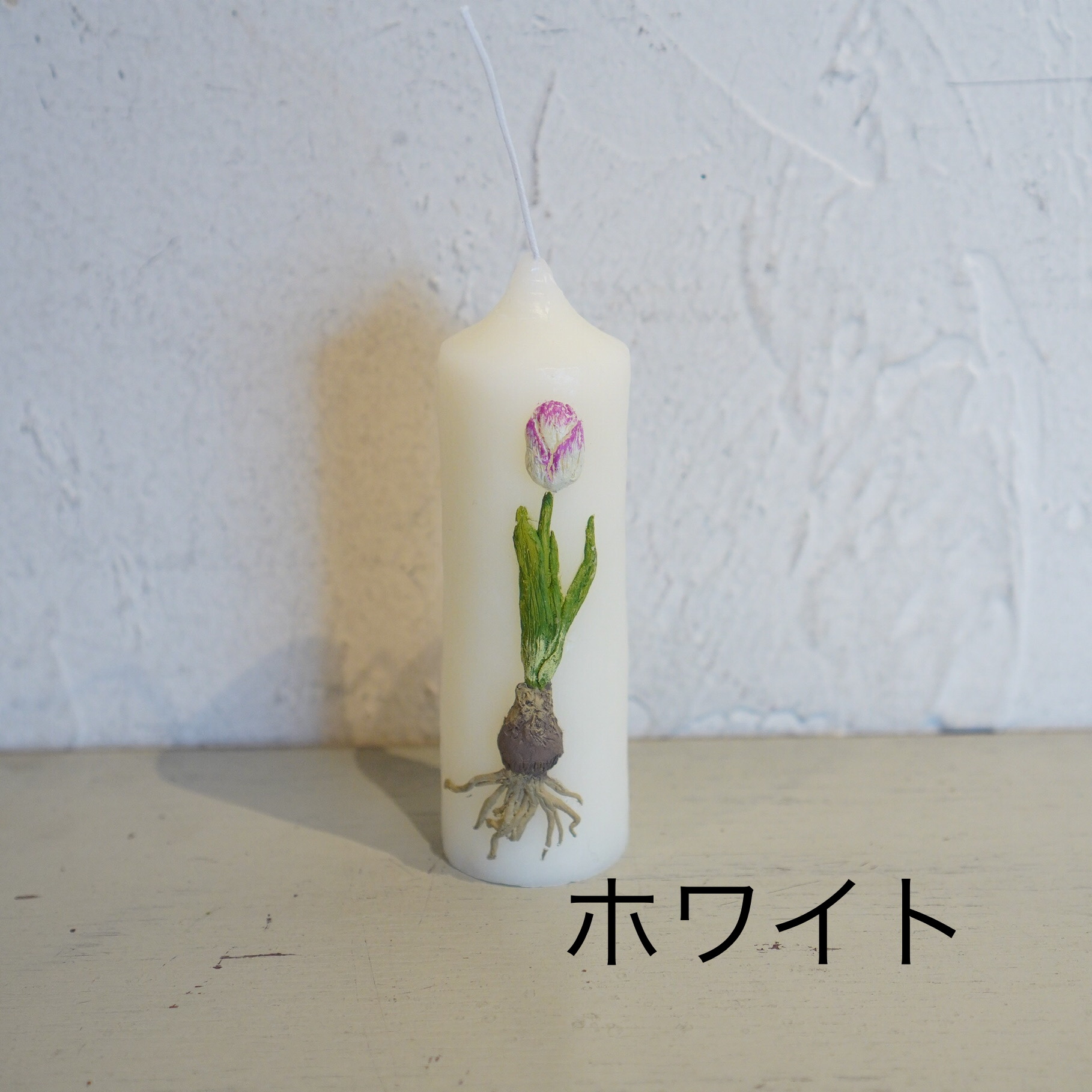 Blue Candle - ﾁｭｰﾘｯﾌﾟ球根(13)WH